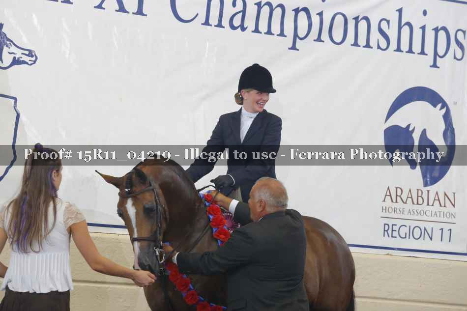 Proof Number 15R11_04219