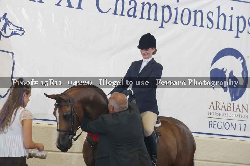 Proof Number 15R11_04220