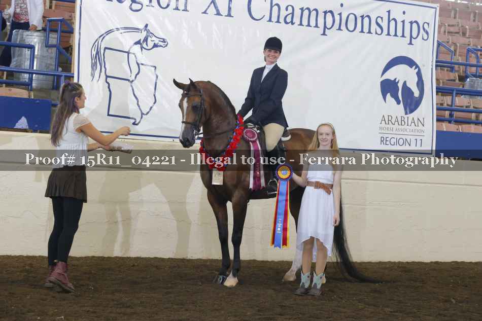 Proof Number 15R11_04221