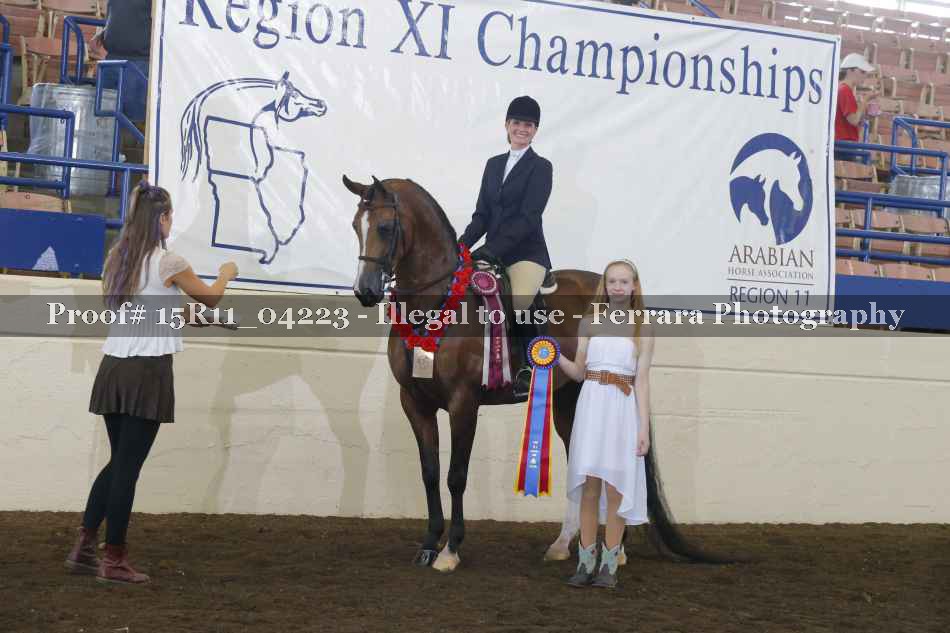 Proof Number 15R11_04223