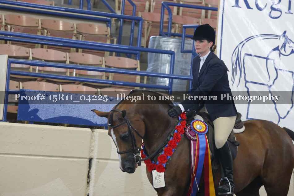 Proof Number 15R11_04225