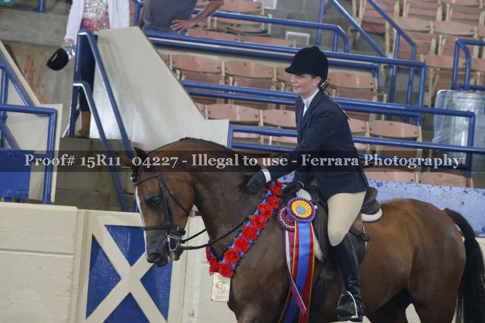Proof Number 15R11_04227