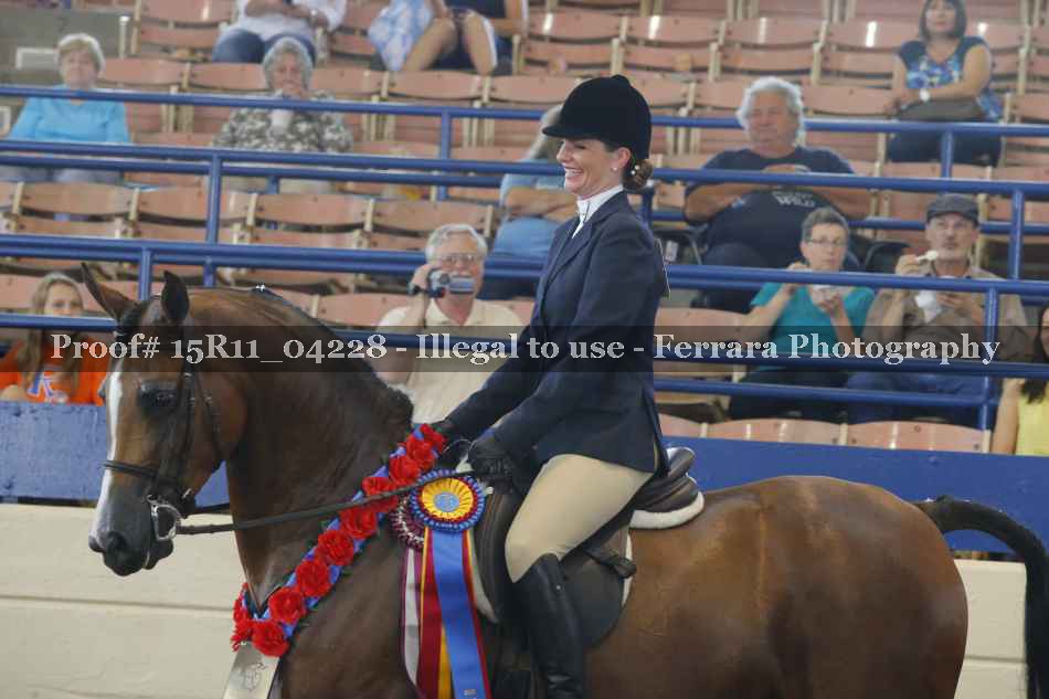 Proof Number 15R11_04228