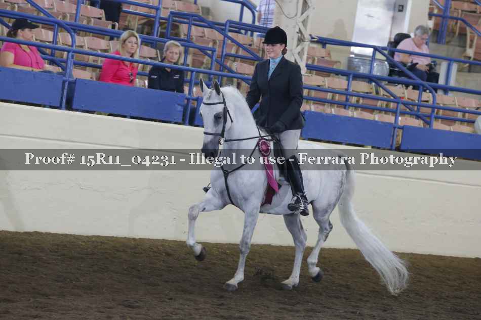 Proof Number 15R11_04231