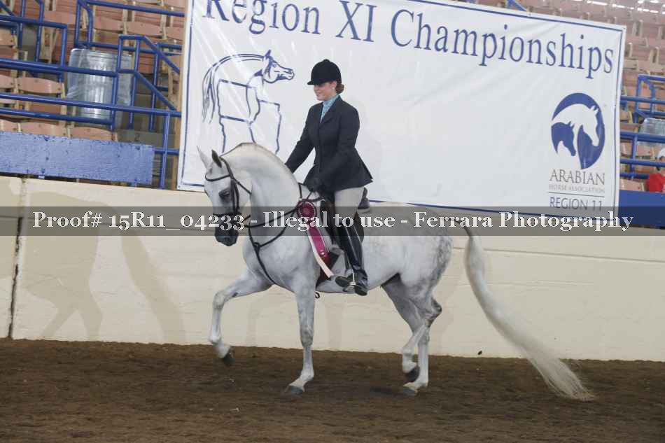 Proof Number 15R11_04233