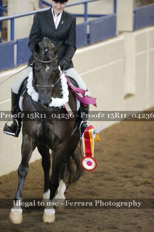 Proof Number 15R11_04236