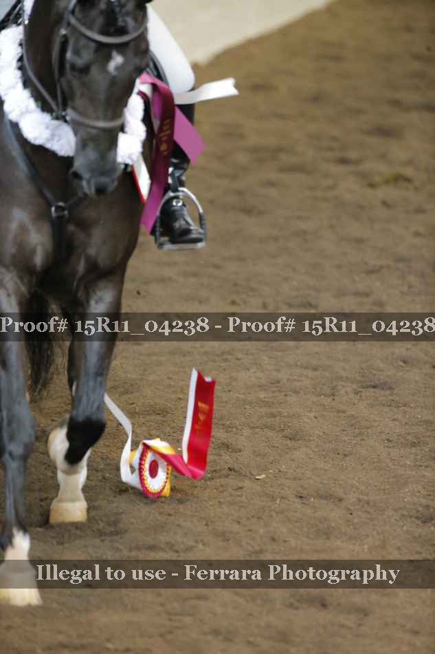 Proof Number 15R11_04238