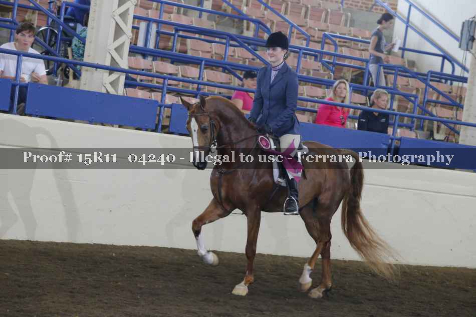 Proof Number 15R11_04240