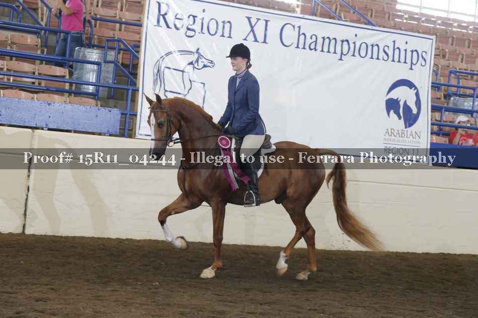 Proof Number 15R11_04244