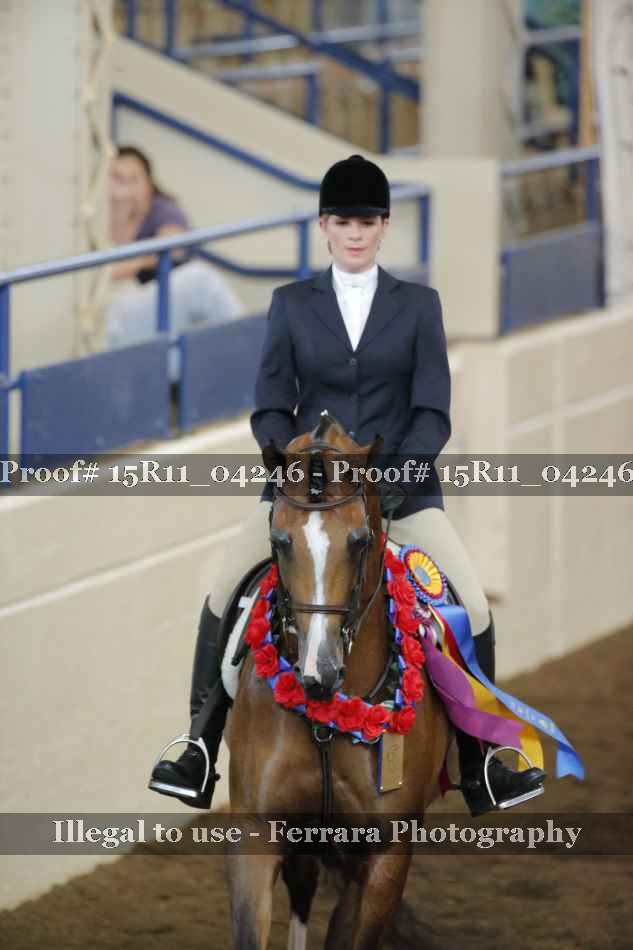 Proof Number 15R11_04246