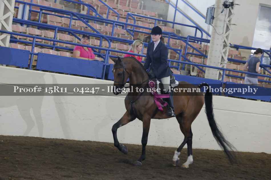 Proof Number 15R11_04247