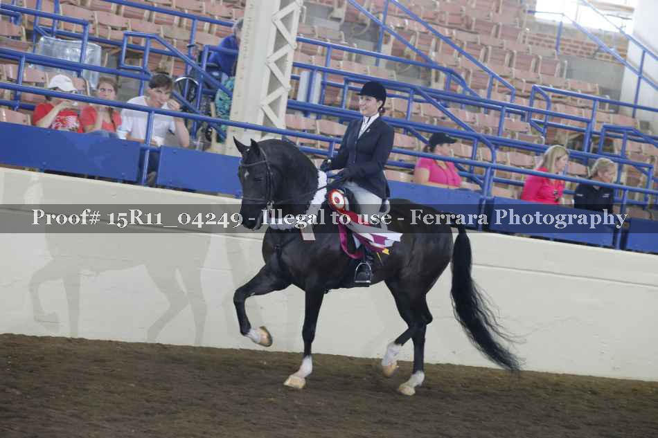 Proof Number 15R11_04249