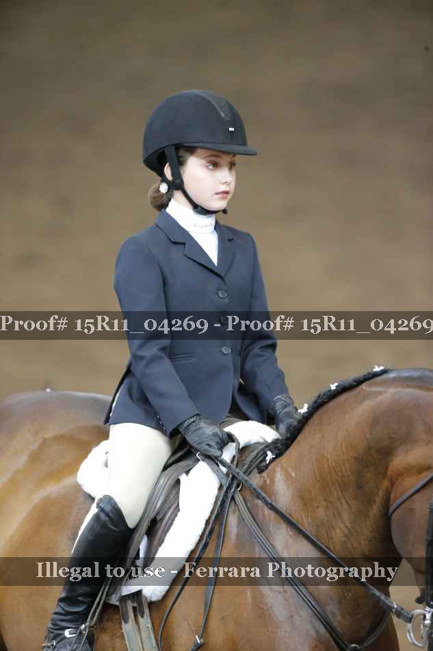 Proof Number 15R11_04269