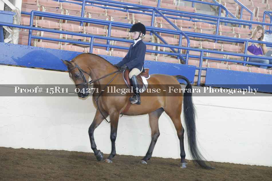 Proof Number 15R11_04271