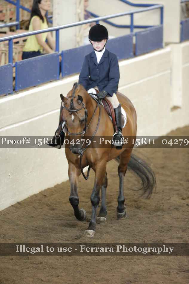 Proof Number 15R11_04279