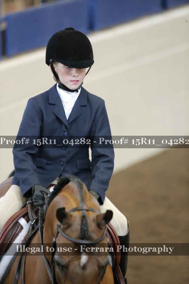 Proof Number 15R11_04282