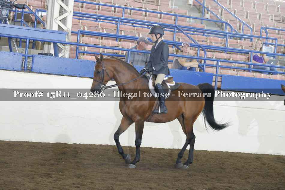 Proof Number 15R11_04286