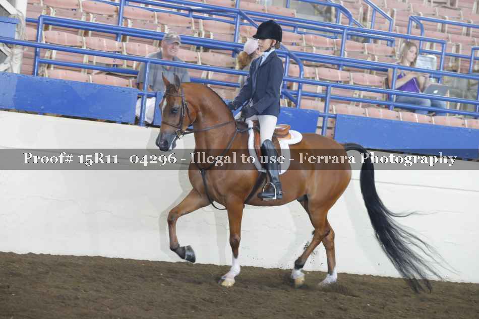 Proof Number 15R11_04296