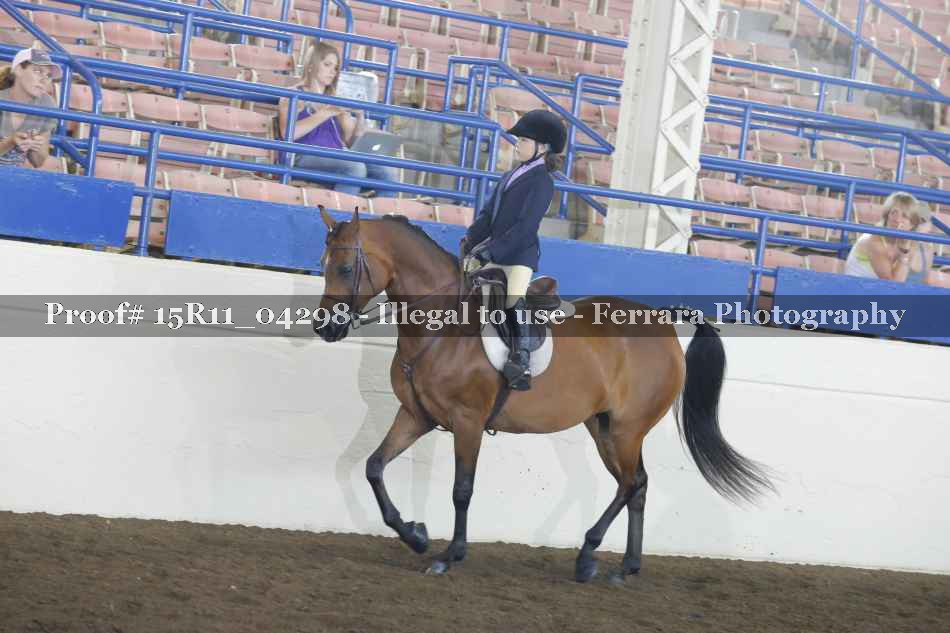 Proof Number 15R11_04298