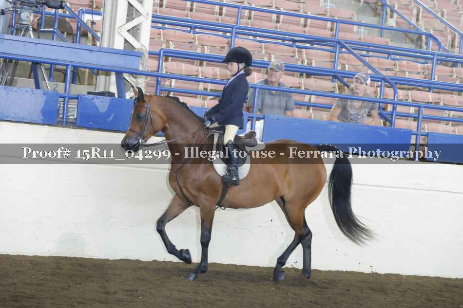 Proof Number 15R11_04299