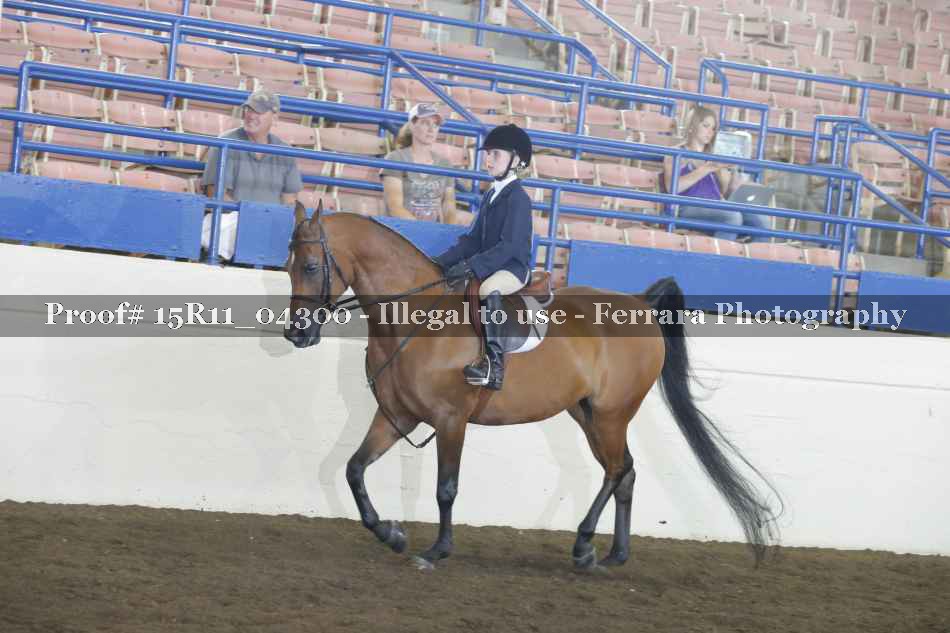 Proof Number 15R11_04300