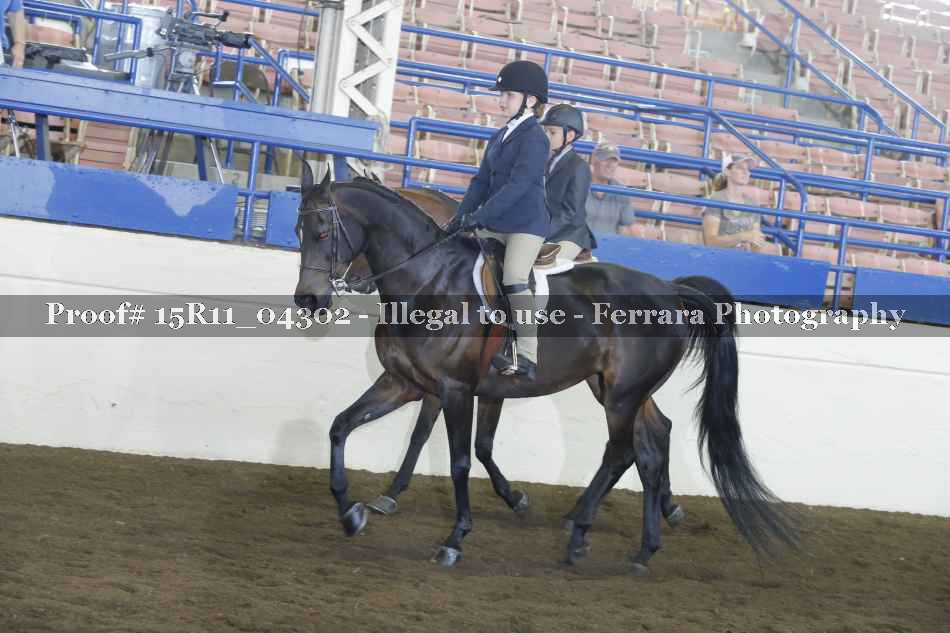 Proof Number 15R11_04302