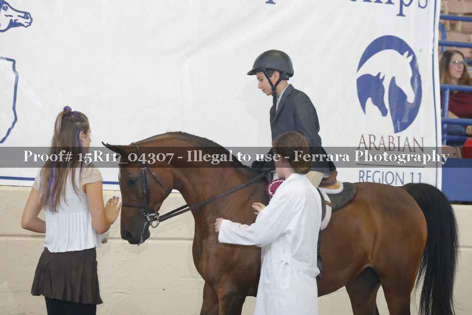 Proof Number 15R11_04307