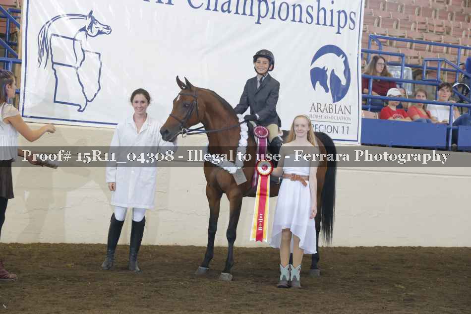 Proof Number 15R11_04308