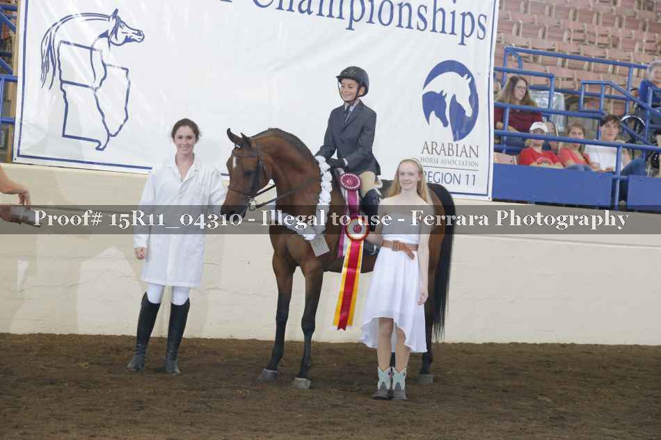 Proof Number 15R11_04310