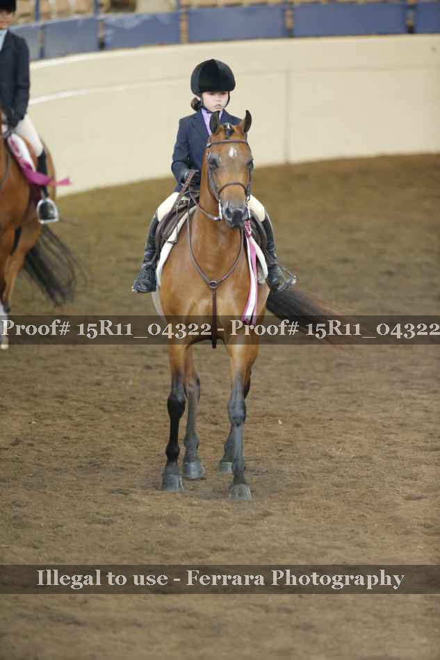 Proof Number 15R11_04322