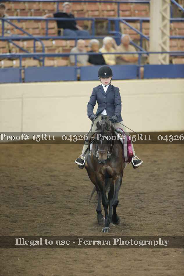 Proof Number 15R11_04326