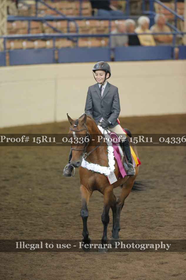 Proof Number 15R11_04336