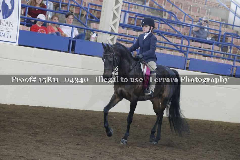 Proof Number 15R11_04340