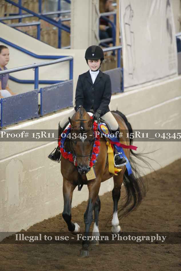 Proof Number 15R11_04345