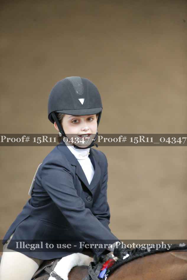 Proof Number 15R11_04347
