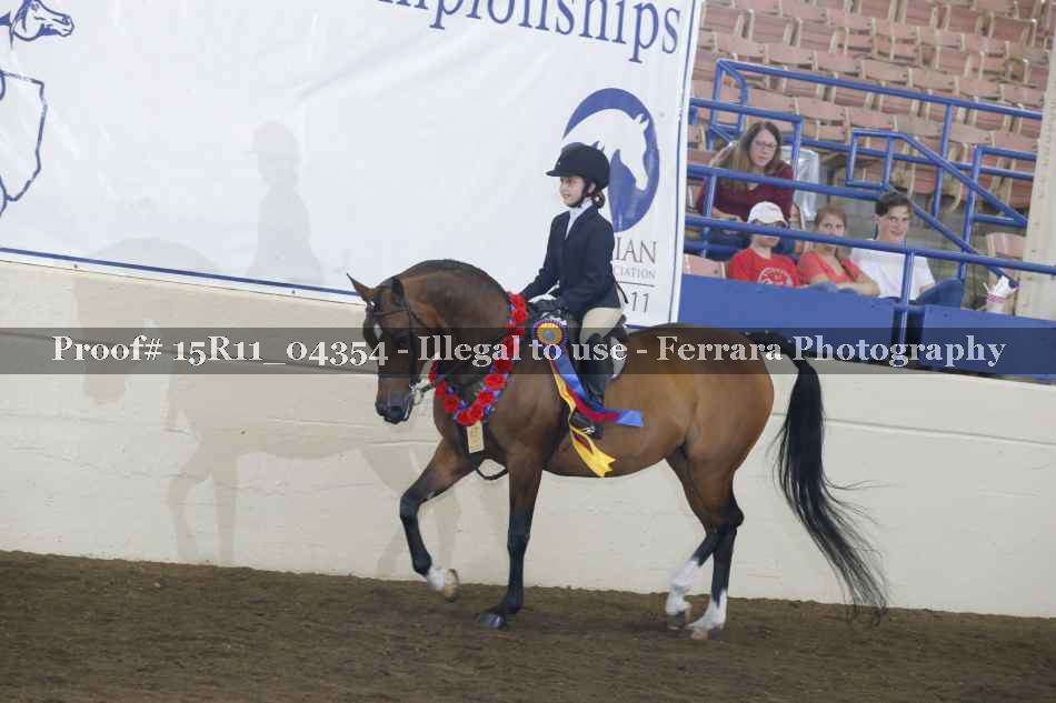 Proof Number 15R11_04354