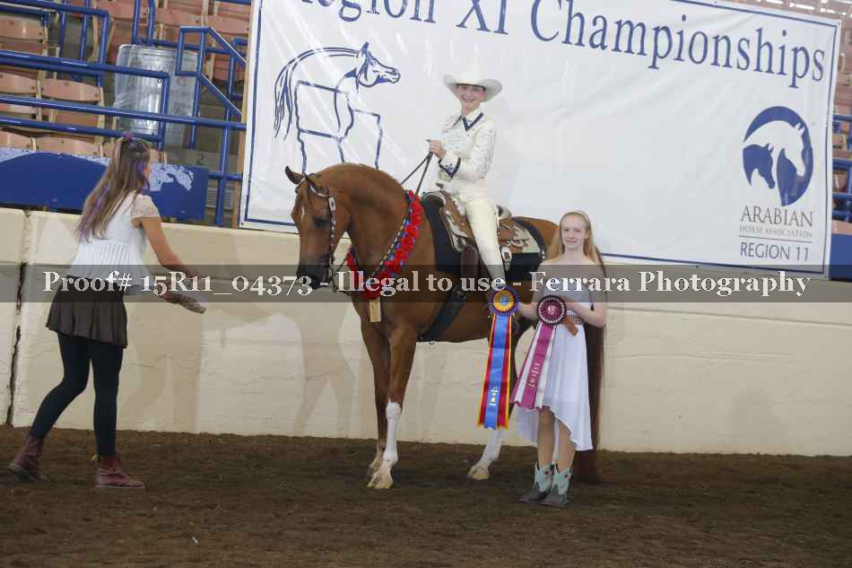 Proof Number 15R11_04373