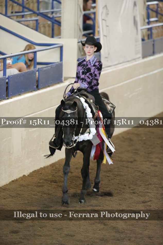 Proof Number 15R11_04381