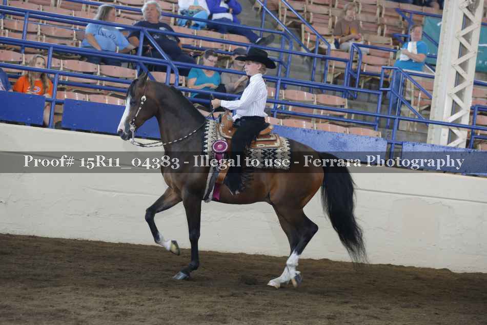 Proof Number 15R11_04383