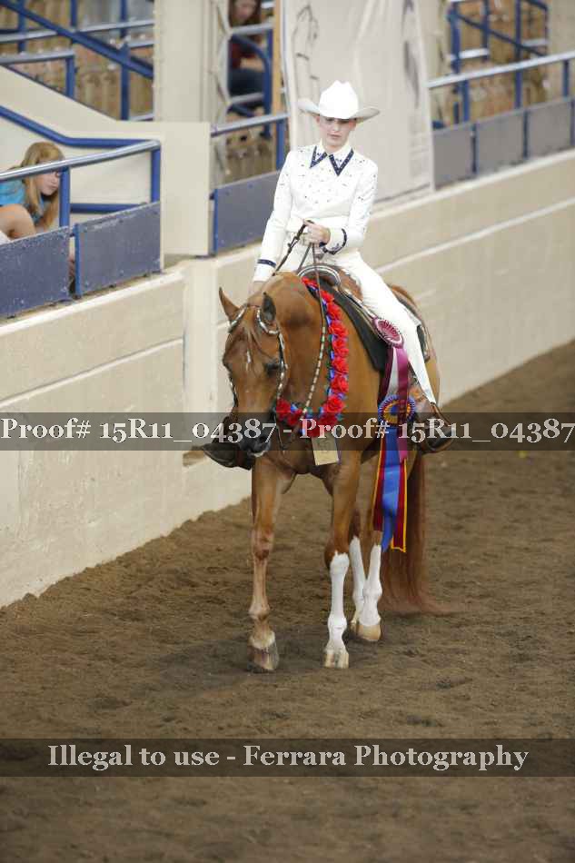 Proof Number 15R11_04387