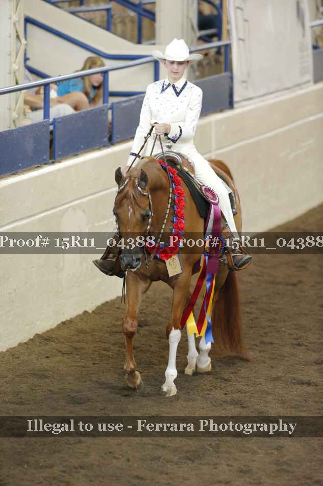 Proof Number 15R11_04388