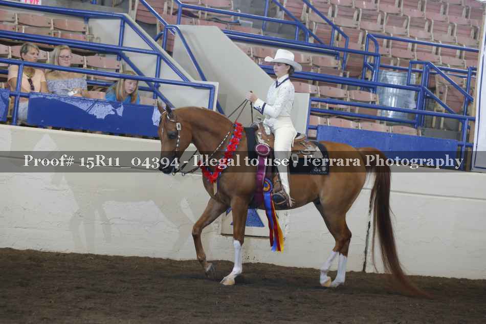 Proof Number 15R11_04394