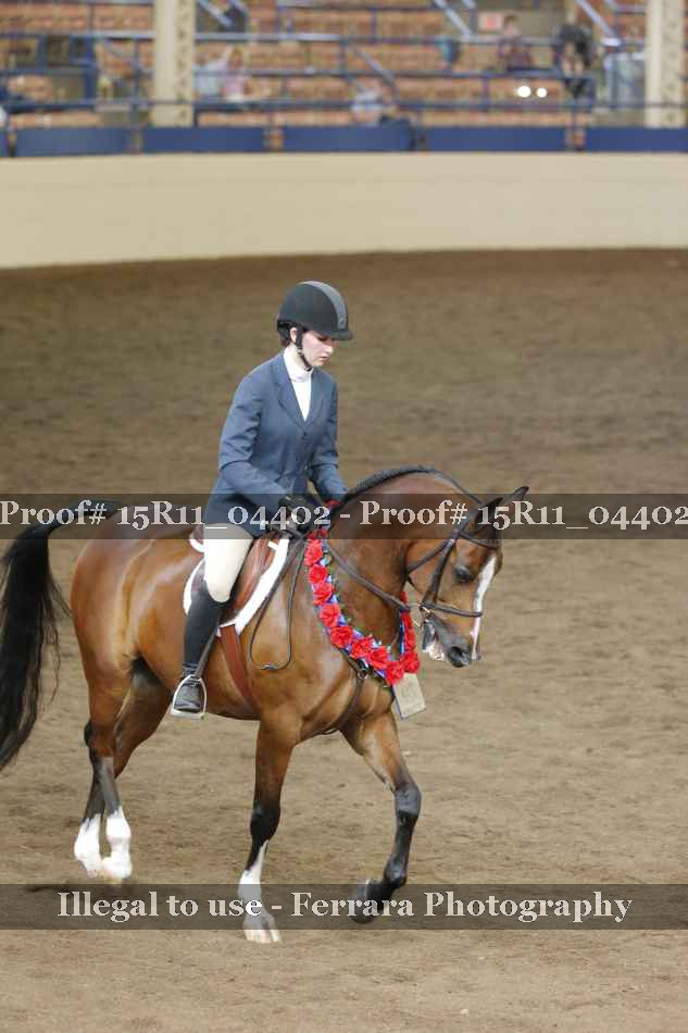 Proof Number 15R11_04402