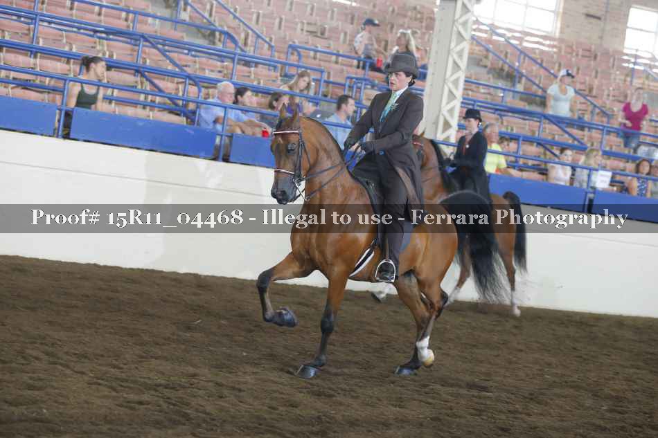 Proof Number 15R11_04468
