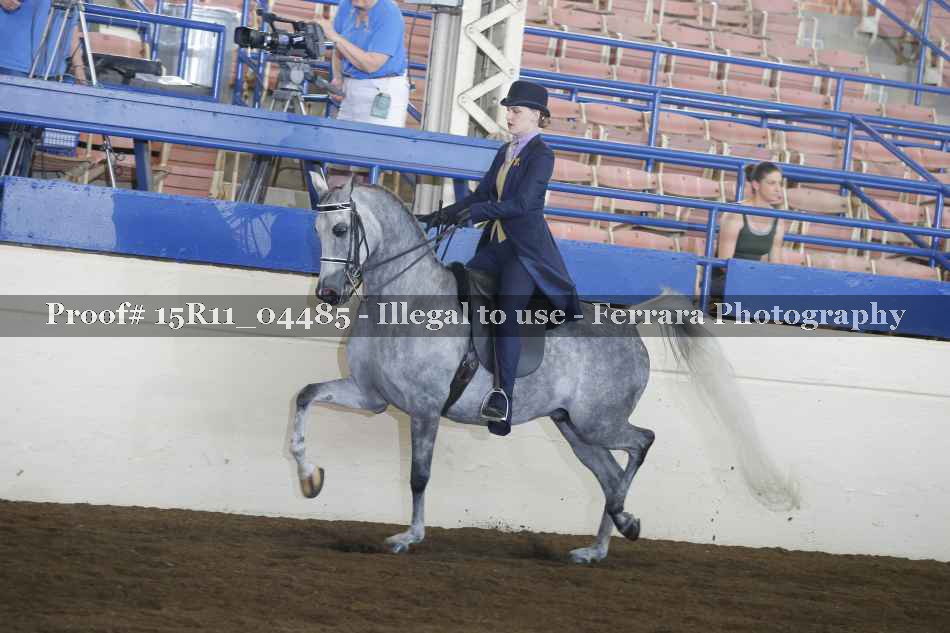 Proof Number 15R11_04485