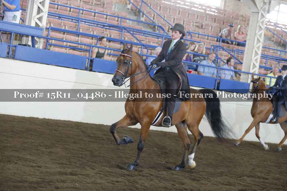 Proof Number 15R11_04486