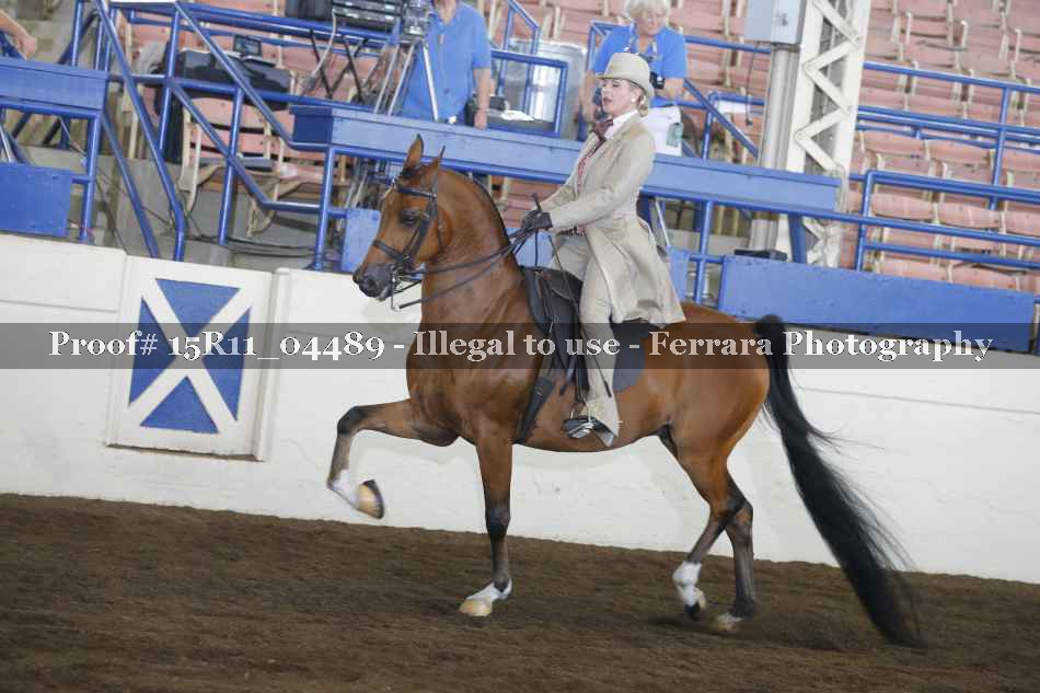 Proof Number 15R11_04489
