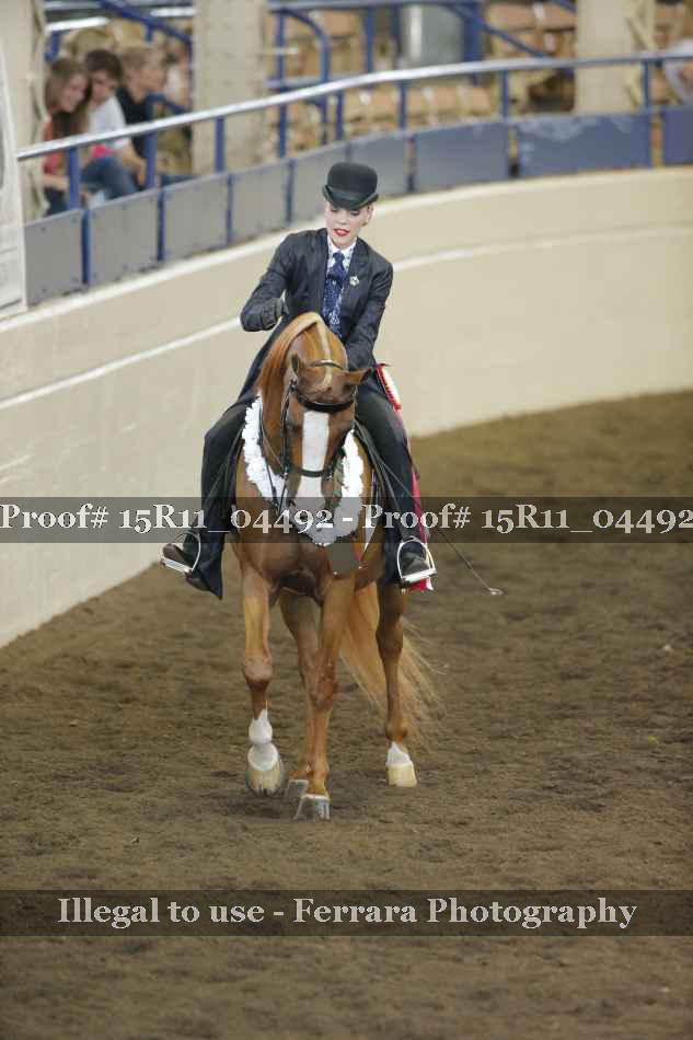Proof Number 15R11_04492