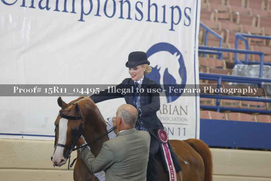 Proof Number 15R11_04495