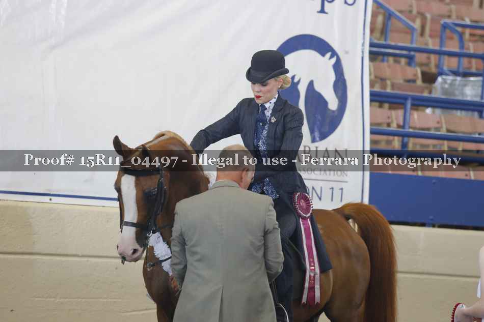 Proof Number 15R11_04497